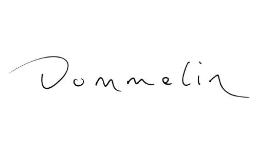 Dommelin logo